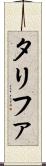 タリファ Scroll