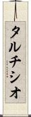 タルチシオ Scroll
