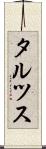 タルツス Scroll
