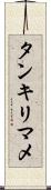 タンキリマメ Scroll