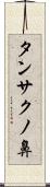 タンサクノ鼻 Scroll