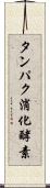 タンパク消化酵素 Scroll