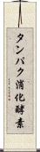 タンパク消化酵素 Scroll