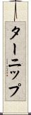 ターニップ Scroll