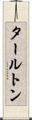 タールトン Scroll