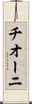 チオーニ Scroll