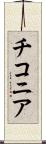 チコニア Scroll