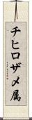 チヒロザメ属 Scroll