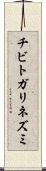 チビトガリネズミ Scroll