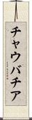 チャウバチア Scroll