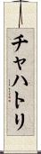 チャハトリ Scroll