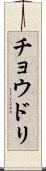 チョウドリ Scroll
