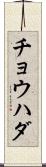 チョウハダ Scroll