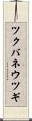 ツクバネウツギ Scroll