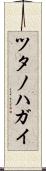 ツタノハガイ Scroll