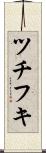 ツチフキ Scroll