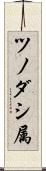 ツノダシ属 Scroll