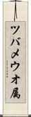 ツバメウオ属 Scroll