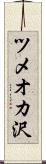 ツメオカ沢 Scroll