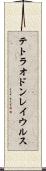 テトラオドン・レイウルス Scroll