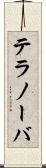 テラノーバ Scroll