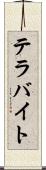 テラバイト Scroll