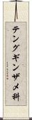 テングギンザメ科 Scroll