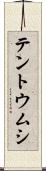 テントウムシ Scroll