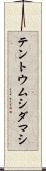 テントウムシダマシ Scroll