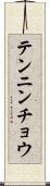 テンニンチョウ Scroll
