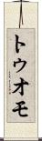 トゥオモ Scroll