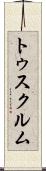 トゥスクルム Scroll