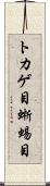 トカゲ目 Scroll