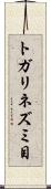 トガリネズミ目 Scroll