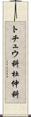 トチュウ科;杜仲科 Scroll