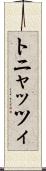 トニャッツィ Scroll