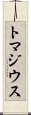 トマジウス Scroll