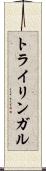 トライリンガル Scroll
