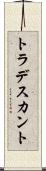トラデスカント Scroll