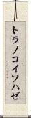 トラノコイソハゼ Scroll