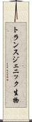 トランスジェニック生物 Scroll