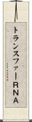 トランスファーＲＮＡ Scroll