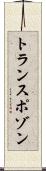 トランスポゾン Scroll