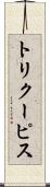 トリクーピス Scroll