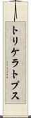 トリケラトプス Scroll