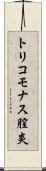 トリコモナス膣炎 Scroll