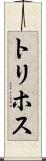 トリホス Scroll