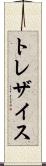 トレザイス Scroll