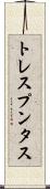 トレスプンタス Scroll