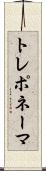 トレポネーマ Scroll
